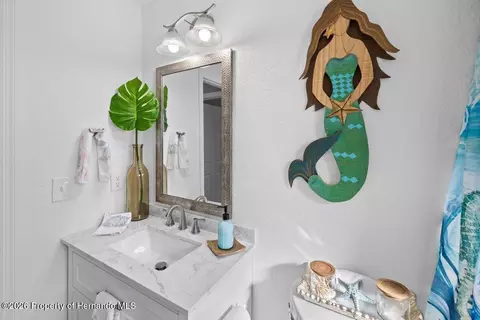 Bath - 4117 Tampico Trl, Hernando Beach, FL 34607 photo 4 of 6