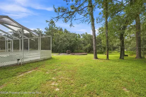 Exterior - 16702 Lemans Dr, Spring Hill, FL 34610 photo 10 of 15