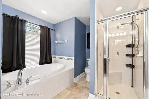 Bath - 16702 Lemans Dr, Spring Hill, FL 34610 photo 2 of 3