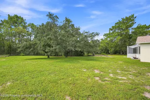 Exterior - 16702 Lemans Dr, Spring Hill, FL 34610 photo 15 of 15