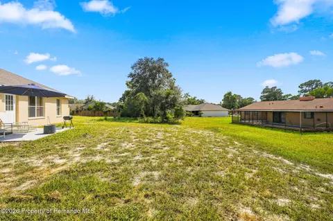 Exterior - 5355 Berrien Ave, Spring Hill, FL 34608 photo 2 of 2