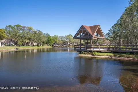 View/Area - 2163 Forester Way, Spring Hill, FL 34606 photo 11 of 18