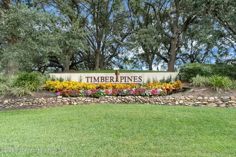 View/Area - 2163 Forester Way, Spring Hill, FL 34606 photo 5 of 18