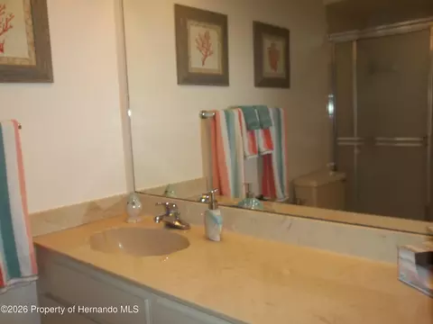 Bath - 2163 Forester Way, Spring Hill, FL 34606 photo 1 of 6
