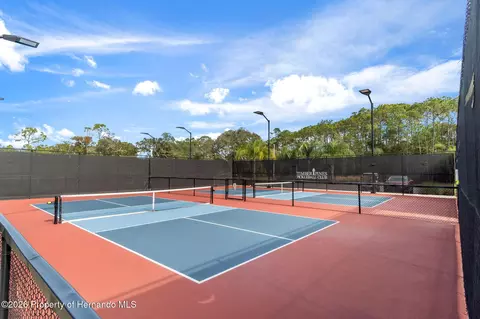 View/Area - 2163 Forester Way, Spring Hill, FL 34606 photo 6 of 18
