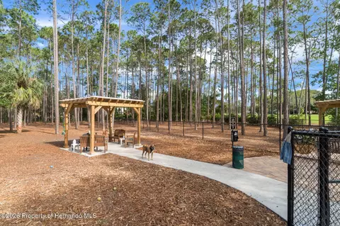 Other - 2163 Forester Way, Spring Hill, FL 34606 photo 20 of 31