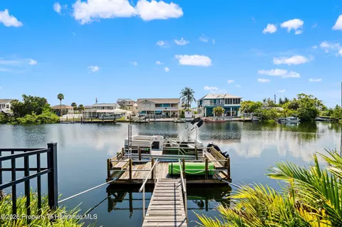 View/Area - 4114 Orchid Dr, Hernando Beach, FL 34607 photo 2 of 11