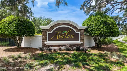 View/Area - 165 Argyll Dr, Spring Hill, FL 34609 photo 3 of 4