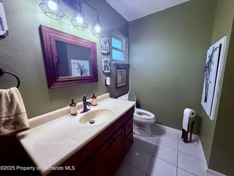 Bath - 3338 Fernleaf Dr, Hernando Beach, FL 34607 photo 6 of 8