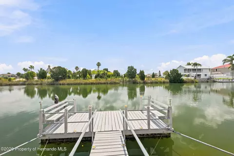 View/Area - 3342 Turks Cap Dr, Hernando Beach, FL 34607 photo 3 of 20