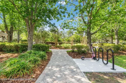 Other - 4327 Canongate Ct, Spring Hill, FL 34609 photo 28 of 28