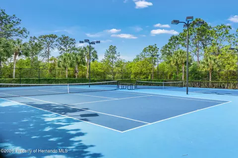 Other - 4327 Canongate Ct, Spring Hill, FL 34609 photo 22 of 28