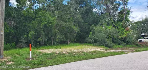 0 Newton Rd, Spring Hill, FL 34606 photo 2