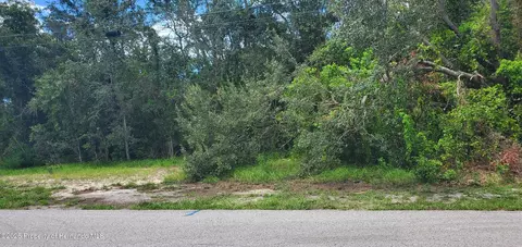 0 Newton Rd, Spring Hill, FL 34606 photo 3