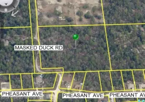 0 Masked Duck Rd, Weeki Wachee, FL 34614