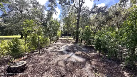 14535 Little Ranch Rd, Spring Hillpasco, FL 34610 photo 11