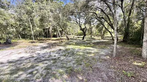 14535 Little Ranch Rd, Spring Hillpasco, FL 34610 photo 7