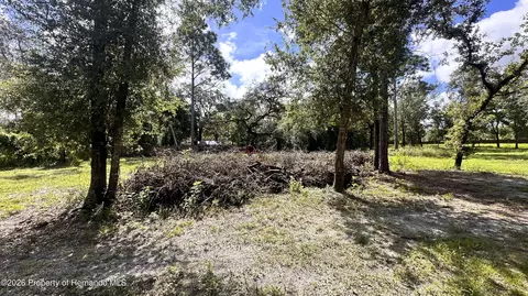 14535 Little Ranch Rd, Spring Hillpasco, FL 34610 photo 4