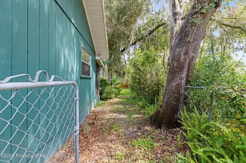Exterior - 406 E Circlewood St, Inverness, FL 34452 photo 11 of 11