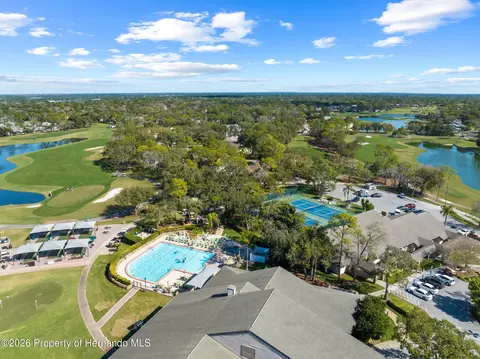 View/Area - Undisclosed, Spring Hill, FL 34606 photo 9 of 12