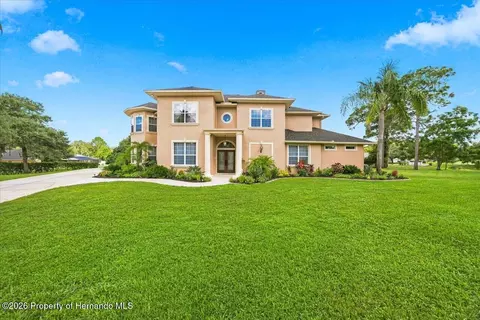 Exterior - 12384 Easthaven Dr, Spring Hill, FL 34609 photo 1 of 12