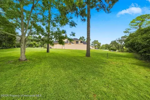 Exterior - 12384 Easthaven Dr, Spring Hill, FL 34609 photo 11 of 12