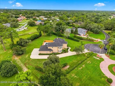 View/Area - 12384 Easthaven Dr, Spring Hill, FL 34609 photo 3 of 5