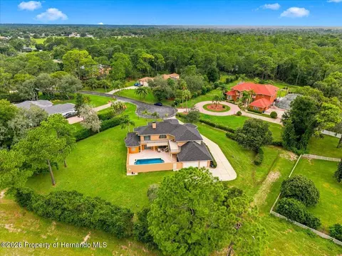 View/Area - 12384 Easthaven Dr, Spring Hill, FL 34609 photo 4 of 5
