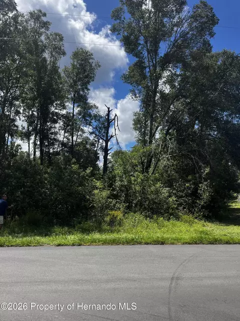 8534 W Basilico St, Crystal River, FL 34428