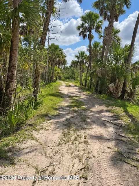 3217 Shine Ln, Spring Hill, FL 34607 photo 6