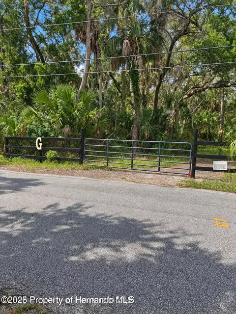 3217 Shine Ln, Spring Hill, FL 34607 photo 13
