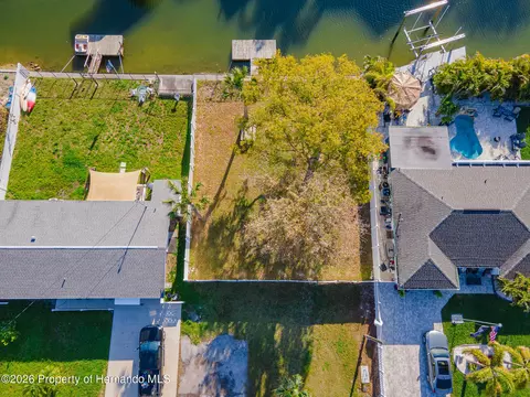 13916 Berkowitz Ave, Hudson, FL 34667 photo 3