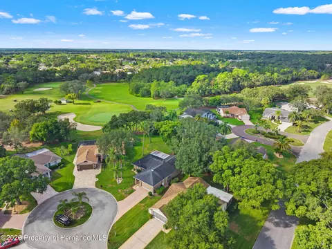 View/Area - 3121 Double Eagle Ct, Spring Hill, FL 34606 photo 2 of 15