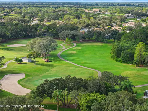 View/Area - 3121 Double Eagle Ct, Spring Hill, FL 34606 photo 3 of 15