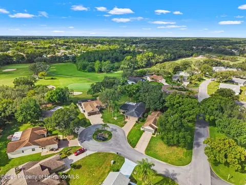 View/Area - 3121 Double Eagle Ct, Spring Hill, FL 34606 photo 1 of 15