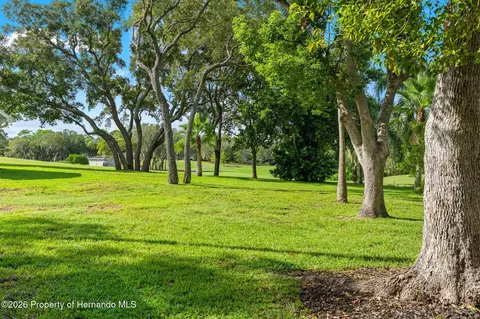 Exterior - 3121 Double Eagle Ct, Spring Hill, FL 34606 photo 9 of 10