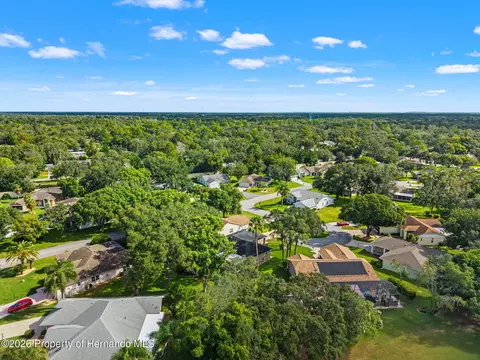 View/Area - 3121 Double Eagle Ct, Spring Hill, FL 34606 photo 4 of 15