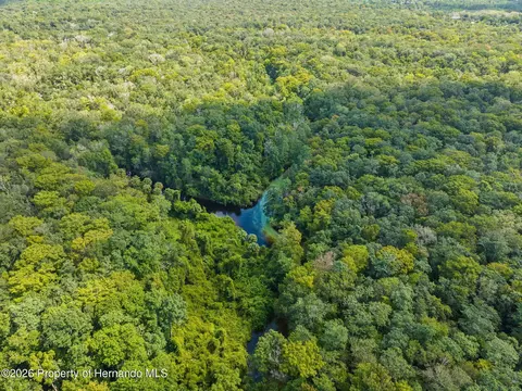 View/Area - 6496 W Richard Dr, Weeki Wachee, FL 34607 photo 9 of 13