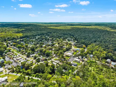 View/Area - 6496 W Richard Dr, Weeki Wachee, FL 34607 photo 7 of 13