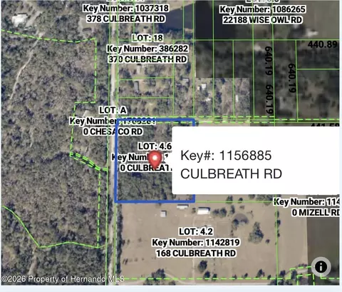 0 Culbreath Rd, Brooksville, FL 34602