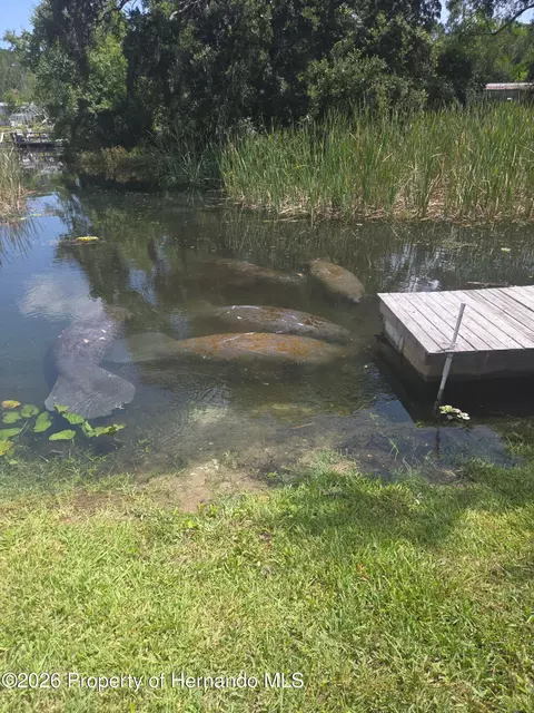 Other - 6443 Finance Ave, Weeki Wachee, FL 34607 photo 4 of 20