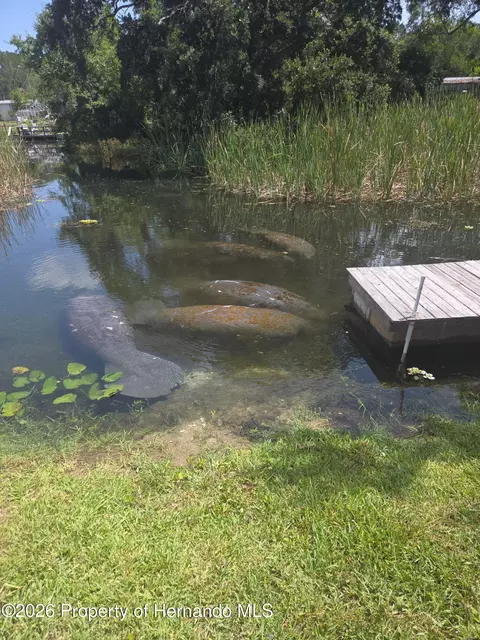 View/Area - 6443 Finance Ave, Weeki Wachee, FL 34607 photo 4 of 6