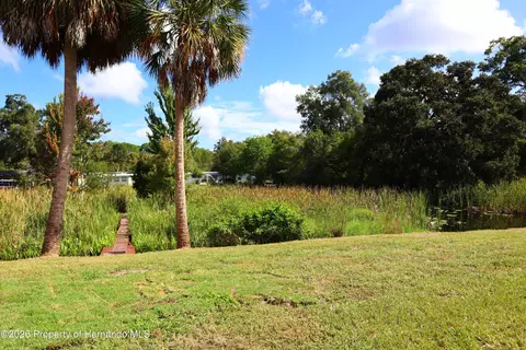 Other - 6443 Finance Ave, Weeki Wachee, FL 34607 photo 5 of 20