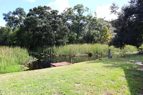 View/Area - 6443 Finance Ave, Weeki Wachee, FL 34607 photo 3 of 6