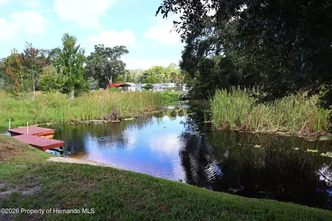 View/Area - 6443 Finance Ave, Weeki Wachee, FL 34607 photo 2 of 6