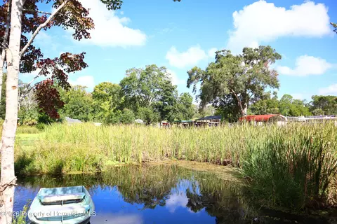 Other - 6443 Finance Ave, Weeki Wachee, FL 34607 photo 8 of 20