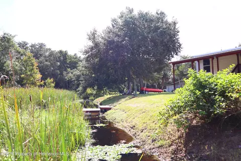 Other - 6443 Finance Ave, Weeki Wachee, FL 34607 photo 9 of 20