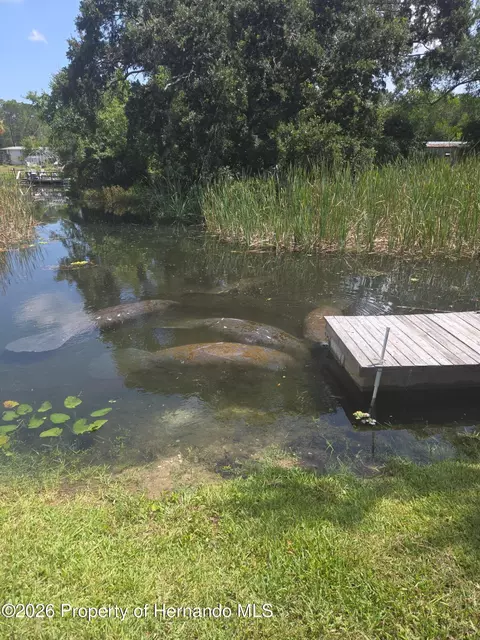 View/Area - 6443 Finance Ave, Weeki Wachee, FL 34607 photo 5 of 6