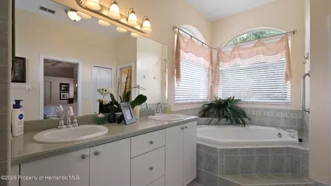 Bath - 9458 Northvale St, Spring Hill, FL 34608 photo 3 of 6