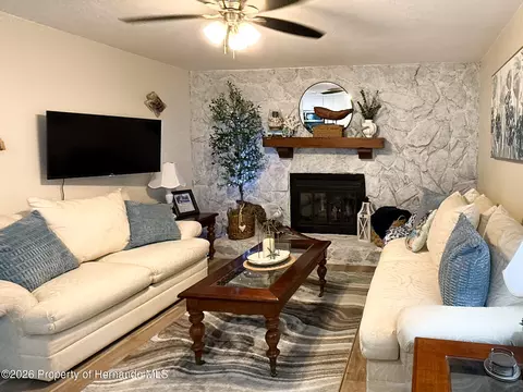 Living - 11019 Captain Dr, Spring Hill, FL 34608 photo 3 of 3